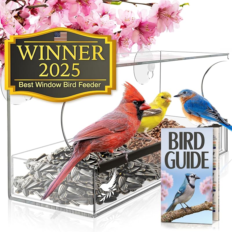 Window Bird Feeder by Nature's Hangout - No Assembly, Strong Suction Cups
