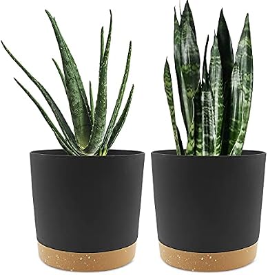 QCQHDU 8 inch Plant Pot, 2 Pack Planters for Indoor Plants with Drainage Holes & Saucer, Outdoor Flower Pots… — view 2