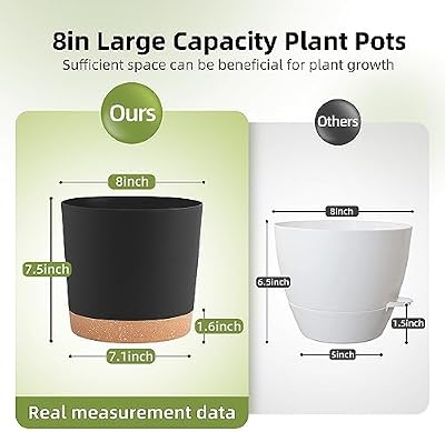 QCQHDU 8 inch Plant Pot, 2 Pack Planters for Indoor Plants with Drainage Holes & Saucer, Outdoor Flower Pots… — view 3