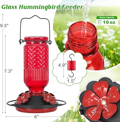 FEED GARDEN Glass Hummingbird Feeder for Outdoors Hanging, 16 oz Leak-Proof Nectar Feeder with Bee Guards & A… — view 3