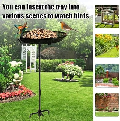 HRAYLTOP Standing Bird Feeder Bowl with 29.1 inch Iron Stand - Detachable Outdoor Decor for Garden Backyard P… — view 3