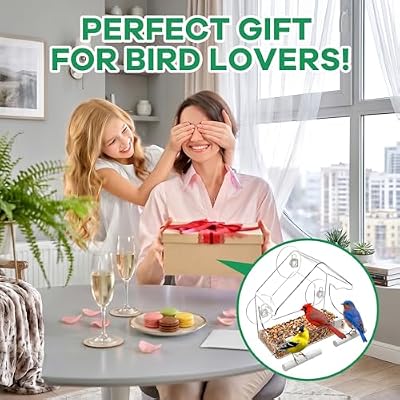 Window Bird Feeders with Strong Suction Cups, as a Bird Watching Gift — view 4