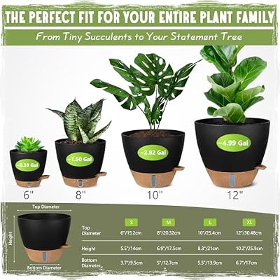Self-Watering Pots for Indoor and Outdoor Plants 4 Pack, 6/8/10/12 Inch Planters with Water Level Indicator &… — view 3