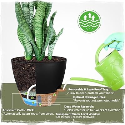 Self-Watering Pots for Indoor and Outdoor Plants 4 Pack, 6/8/10/12 Inch Planters with Water Level Indicator &… — view 4