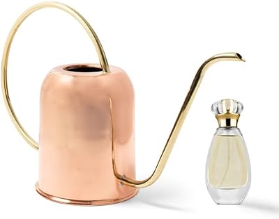 Copper Watering Can Indoor Plants - 48oz Long Spout Precise Small Water Can for Plants, Bonsai, Succulents, H… — view 3