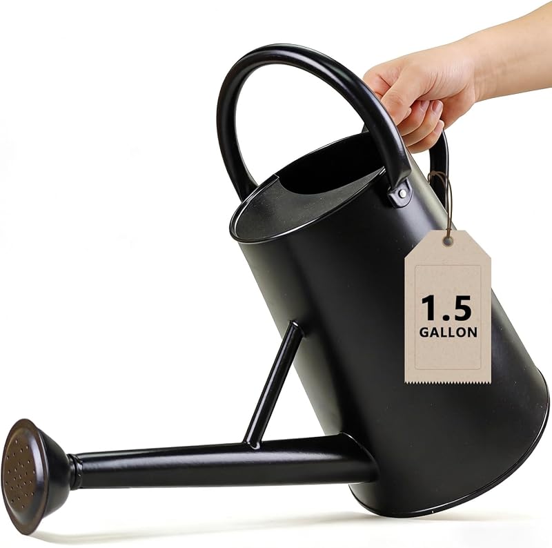 Watering Can for Outdoor&Indoor Plants，1.5 Gallon，Black